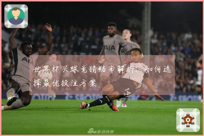 世界杯买球竞猜赔率解析：如何选择最优投注方案